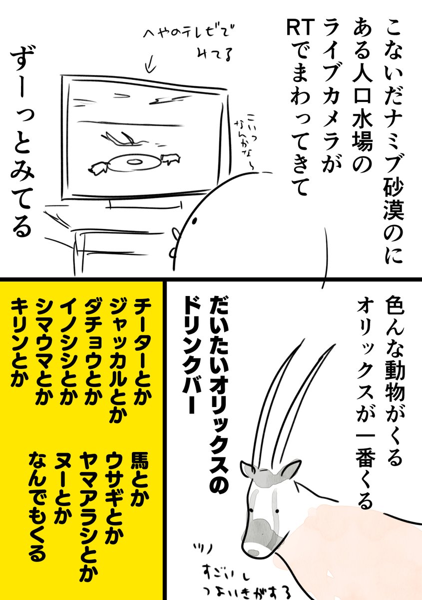 ナミブ砂漠の水飲み場に設置されたライブカメラ映像 いろんな動物がやってきて面白い お馬さん チーター Togetter