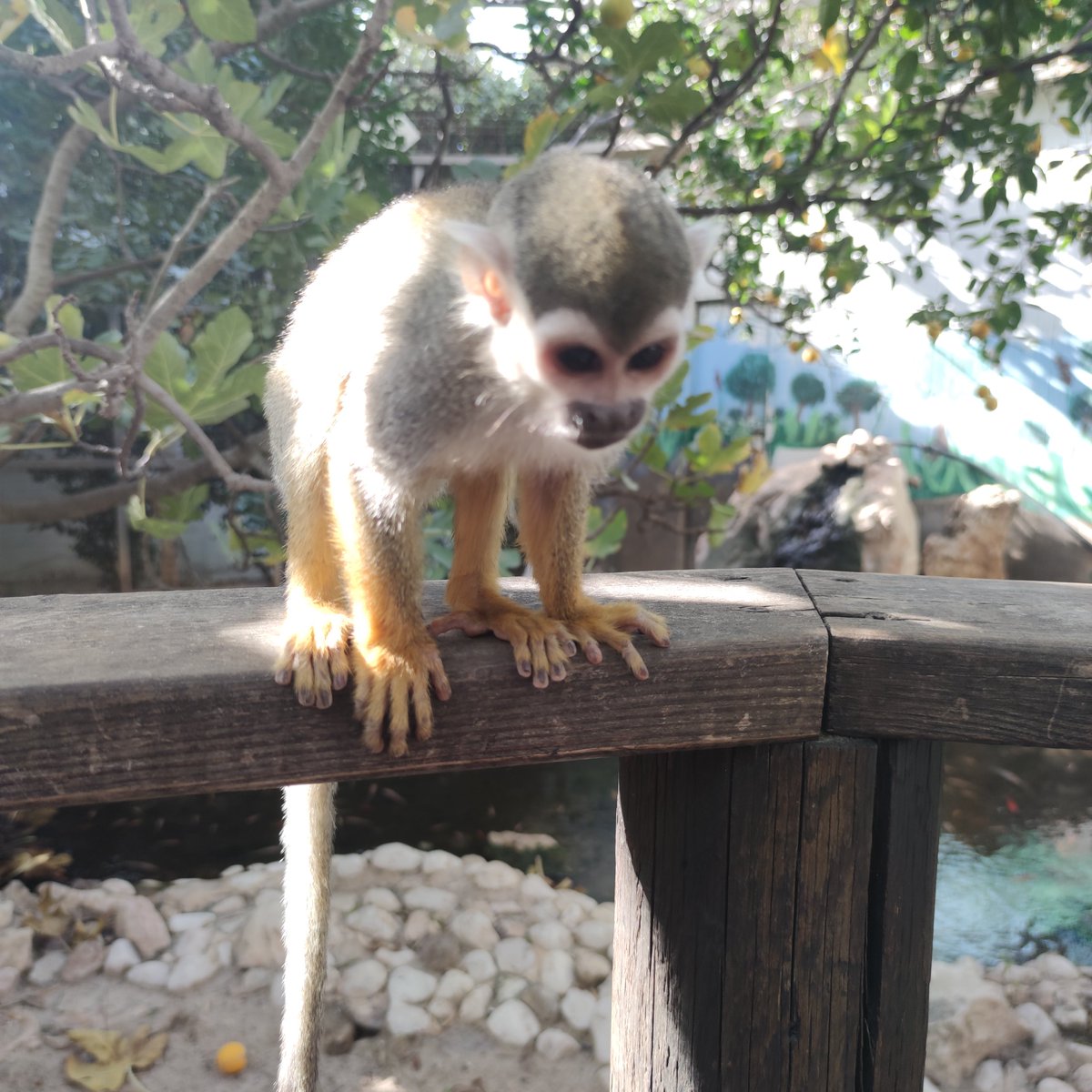 0xɴɪɴᴏ tweet media