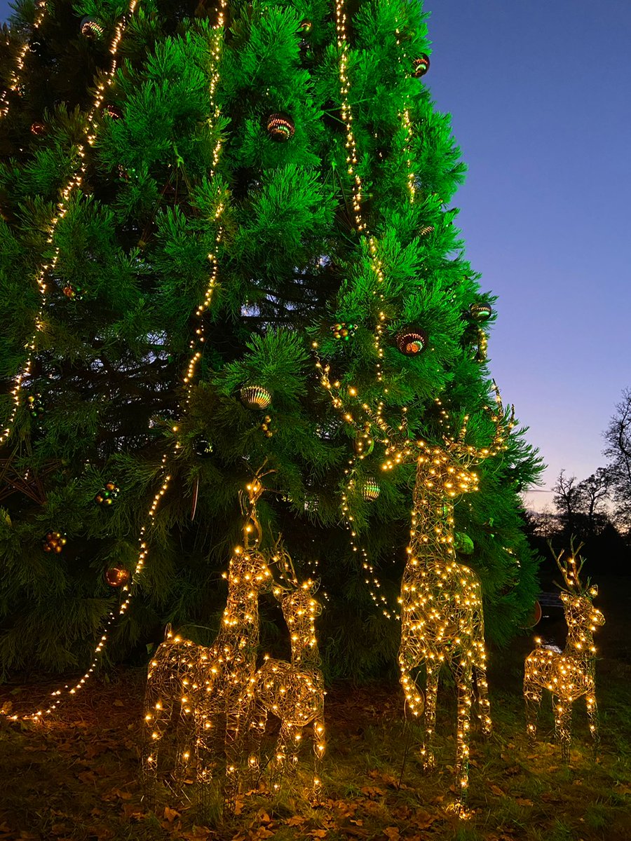 BBC Countryfile Live (@countryfilelive) on Twitter photo Need the ideal gift for Grandma? Get your family snapped by the pros and gift her with a picture perfect portrait in front of our majestic 20ft Countryfile Christmas tree! π
Sponsored by <a href="/dobbies/">Dobbies</a>, championing sustainable tree reuse πͺπ
#CountryfileChristmas Need the ideal gift for Grandma? Get your family snapped by the pros and gift her with a picture perfect portrait in front of our majestic 20ft Countryfile Christmas tree! π
Sponsored by <a href="/dobbies/">Dobbies</a>, championing sustainable tree reuse πͺπ
#CountryfileChristmas