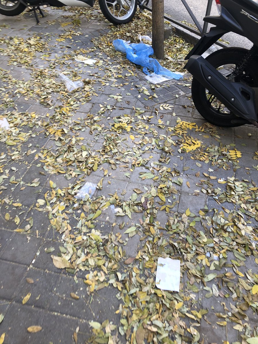 RRVara's tweet photo. @Lineamadrid La acera de los impares de Guzmán el Bueno, desde el número 29 aprox hacia Alberto Aguilera, no recuerda el tiempo que lleva sin verse limpia… Está llena de basura y hojas. Además escurren y hay riesgo de caídas… Limpieza por favor! https://t.co/g5IxwAsdLh