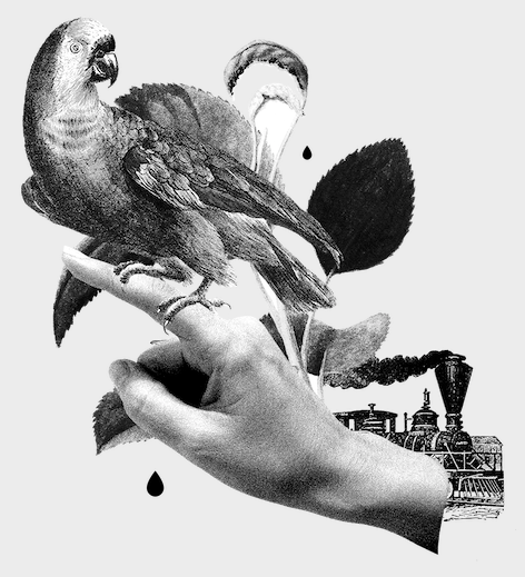 Victoria tweet media