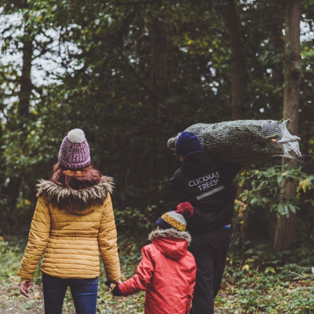 Clickmas Trees tweet media