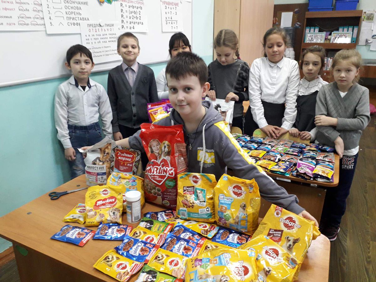 Активисты РДШ и волонтёры x.com/109_mou  приняли участие в проведении единого дня действий «Протяни руку помощи», который проводится в рамках Всемирного дня защиты домашних животных.