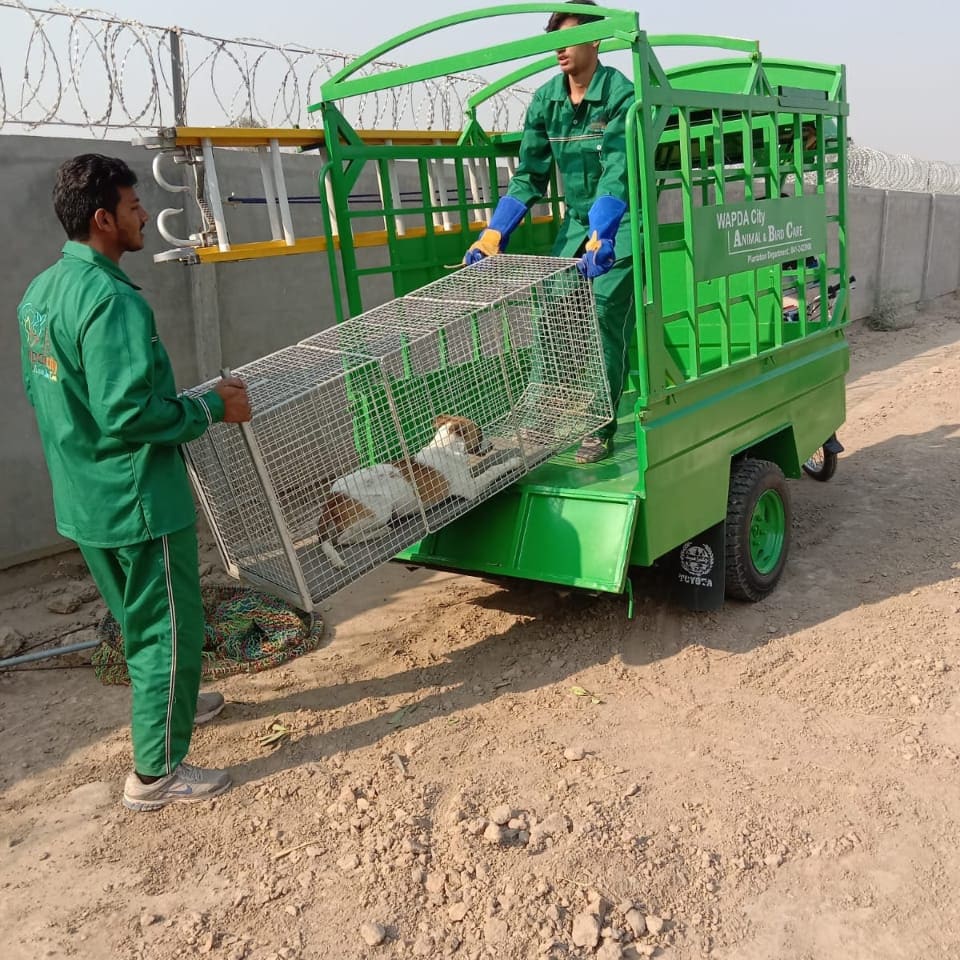 WAPDA City tweet media