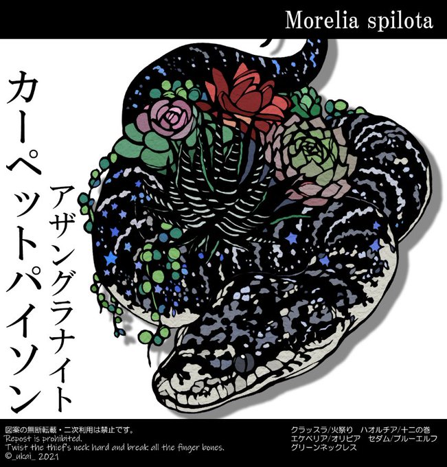 カーペットパイソン(アザングラナイト)
色追加しました🐍

ニシキヘビのピット器官って目立ってカッコいいですね  性能はもっとかっこいい!   #切り絵 