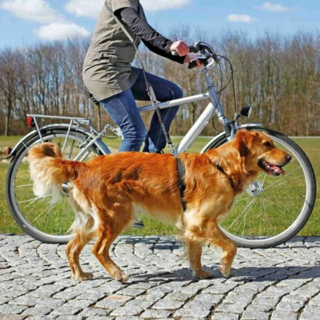 wehelpic's tweet photo. Hasta el 15 de diciembre puedes participar en el reto que nos ha propuesto @juliominayo, recorrer entre todos caminando🚶‍♂️, corriendo 🏃‍♀️, o en bici 🚲7.040 km 👏.
⁣
Con este reto vinculamos la vida saludable con la solidaridad, ya que se se conseguiran fondos por una gran causa… https://t.co/2xcuvPJjDa