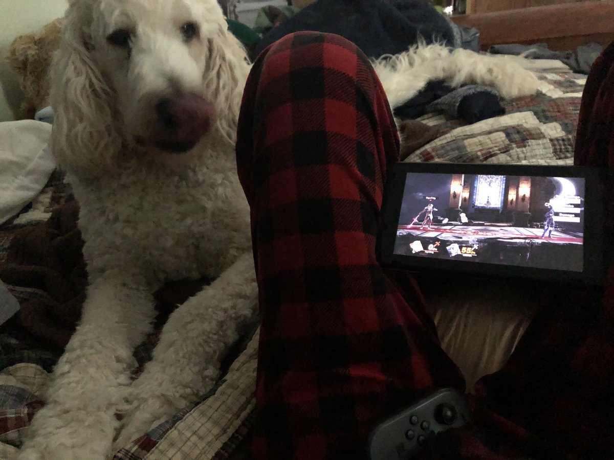 JCarter_210's tweet photo. Practicing Fair -> DFS, just on a cursed setup because the power is out. The #ssbu_corrin stops for no one, be it cuddly puppy or force of nature https://t.co/x3XFplDdlW