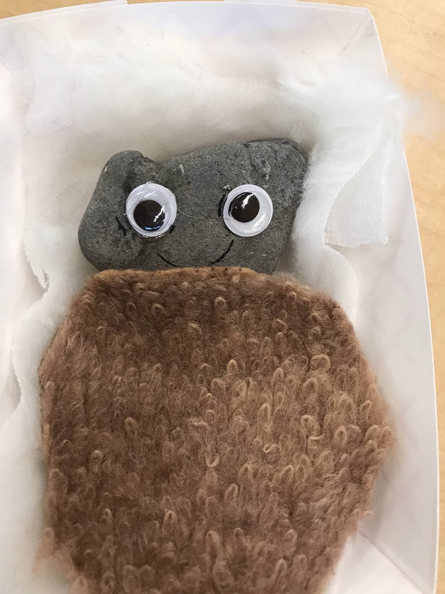ms_mcelroy1's tweet photo. Doesn’t everyone need a good listener as a friend? Ogden 1st graders made their own pet rocks after reading the @WCCPBA 2022 nominee “Lubna and Pebble” by @WendyMeddour They loved this book! #VPSlibrarymagic #kindnessrocks https://t.co/17YMG4a7Os