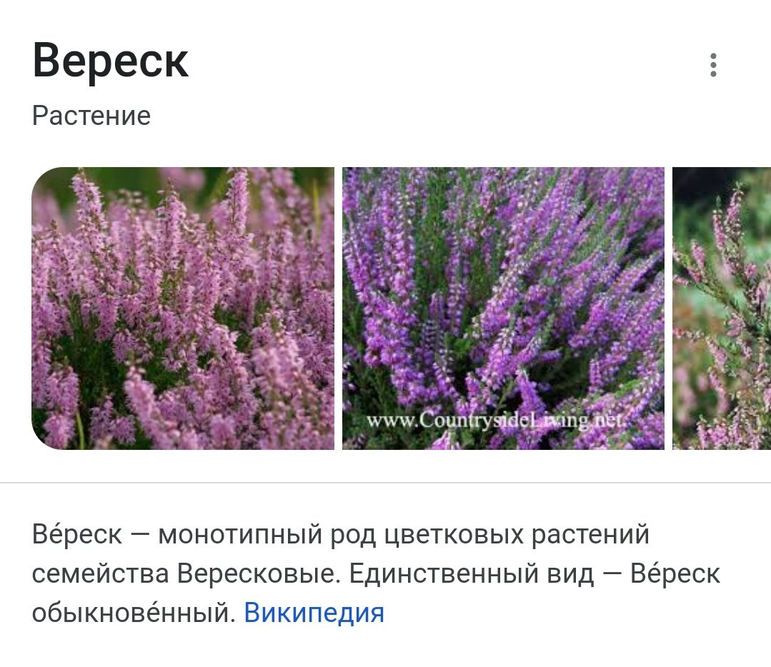 idonotponimate's tweet photo. @lachimolala_t Никогда его кстати тут не видела это наебалово какое то https://t.co/OzRBWP4GBr