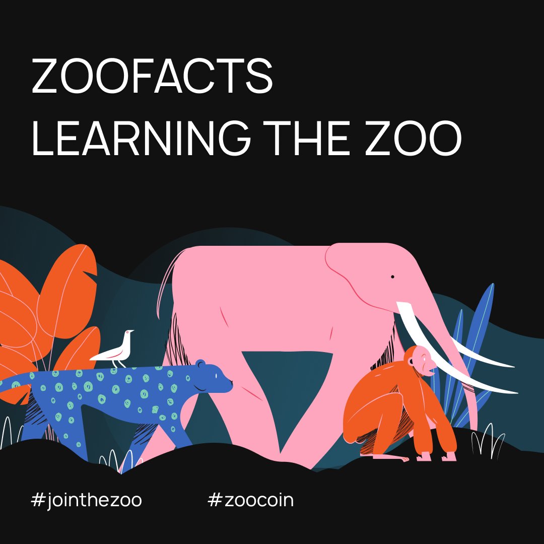 CoinZoo's tweet photo. ZooFacts: Learning The ZOO 🐅🐘🦧
Facts about $ZOO coming every week!!!
#JoinTheZoo #ZooCoin #Fantom $ZOO $FTM https://t.co/OnZMuSU3iU