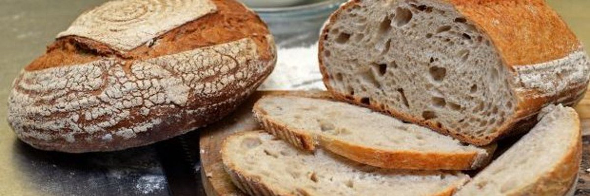 organicmill2's tweet photo. Loving the new profile pic for @IrishTimesFood 👍👏🍞🫓. @IrishTimes @IrishTimesCultr 

#freshbread #properbread #sourdough #hopingitsorganic https://t.co/nud4CIt7rp