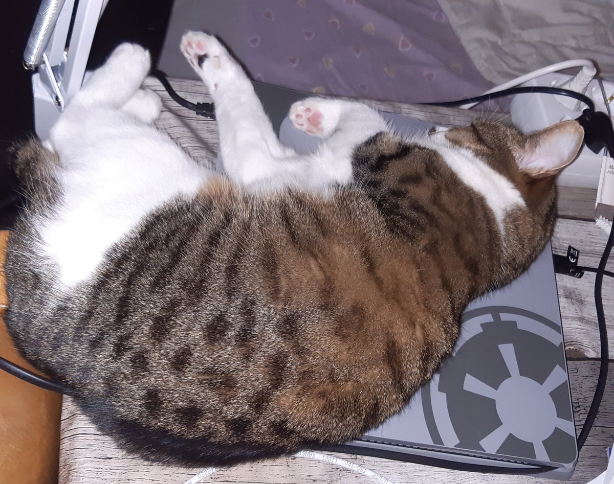 NonnePerkele's tweet image. Joku päivä toi mun pleikkari ylikuumenee ja sulaa..

#FridaTheCat #PS4Problems