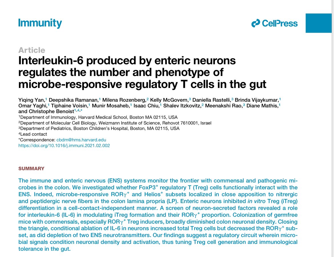 WUSTL Immunology tweet media
