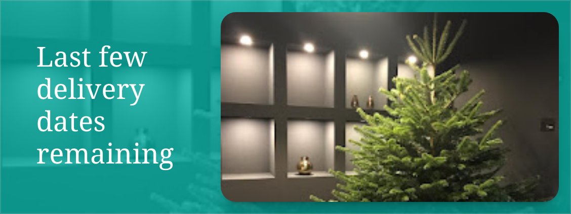 Last few delivery slots available - cambridgechristmastrees.co.uk