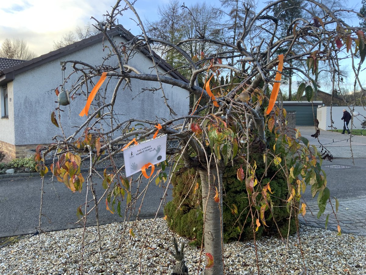 SIScotSouth's tweet photo. #ScotlandSouthSoroptimists region round up at end of #16daysofactivism. #Soroptimists Kirkcaldy #OrangetheWorld locally. #WeStandUpForWomen 
@SIGBI1 @SoroptiTweet https://t.co/shHB8zICdo