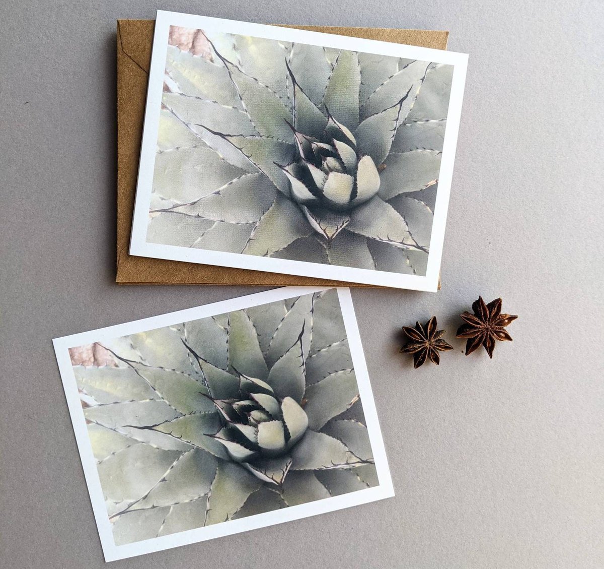 currantstudio's tweet photo. Thanks for the kind words! ★★★★★ "It’s a beautiful card. I’m so glad I found it!!!" https://t.co/k6VlqyauzA #etsy #silver #green #hygge #desertplant #americansouthwest #cactus #boyfriend #scandinavianstyle #alloccasion #visitphoenix #dbgphx #agave #scottsdale https://t.co/nJovrwuaCH