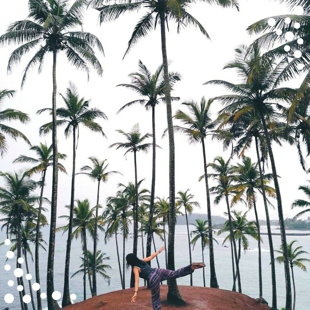 Freepackers's tweet image. Agathe est partie au Sri Lanka pour participer à la protection des tortues, elle revient sur ce projet qui l’a marqué.🇱🇰

 « Cette expérience est la plus belle que j'ai eue à vivre jusqu'à présent. J'ai beaucoup appris autant aux côtés des animaux qu'aux… instagr.am/p/CXWaQfUKihQ/