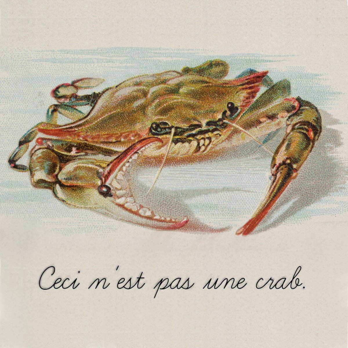 hashcrabs's tweet photo. Crab collab w/ #NFTartist  @HBAR_AVALANCHE known for his #popart style. 🎨 

Sold as a pair. Each 1/1. 🤩

Head on over to #hbarunderground @ https://t.co/WPdaYo3Red 🦀👀 https://t.co/zYuUW4X3UJ