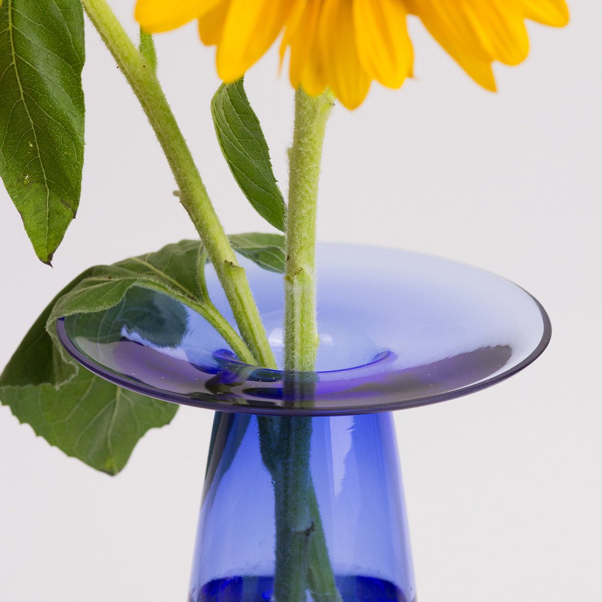 The Glass Apprentice, el mago del vidrio soplado

arquitecturaydiseno.es/estilo-de-vida…