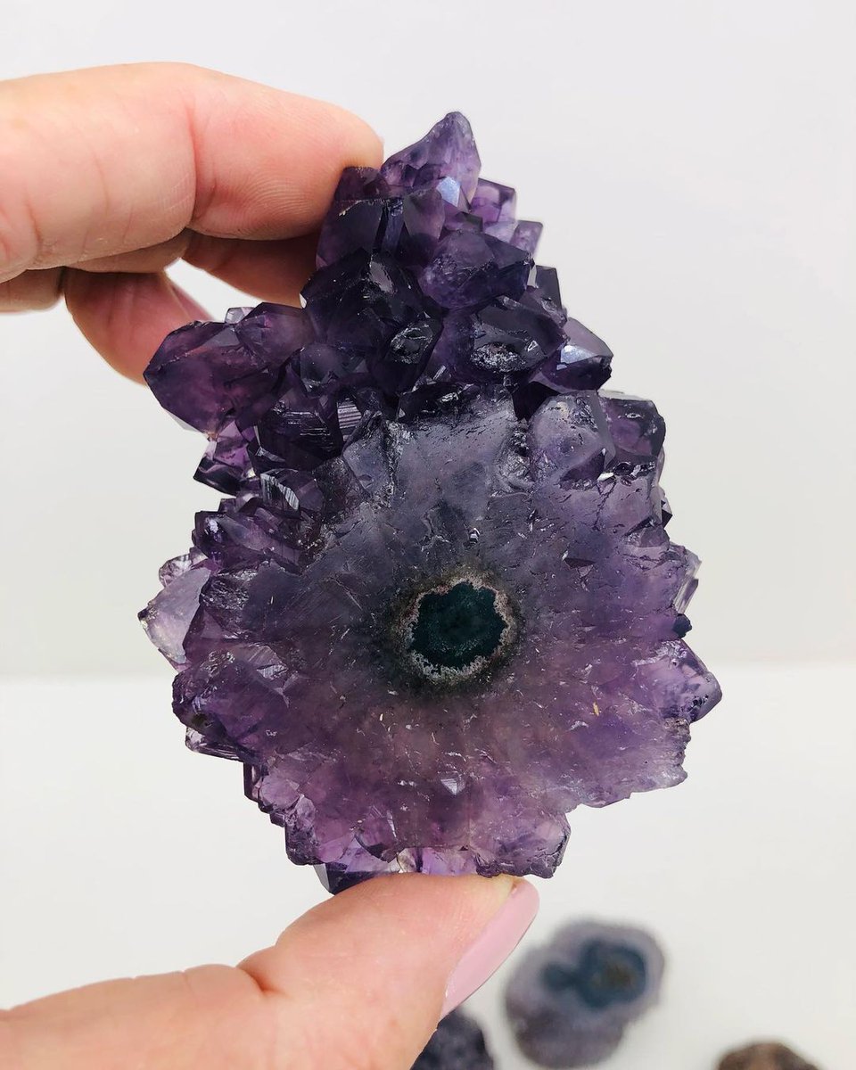 GeologyTime's tweet photo. Polished Stalactite eye from Uruguay 

Photo: Uruguay Minerals

#minerals https://t.co/Kkk6vykuUr