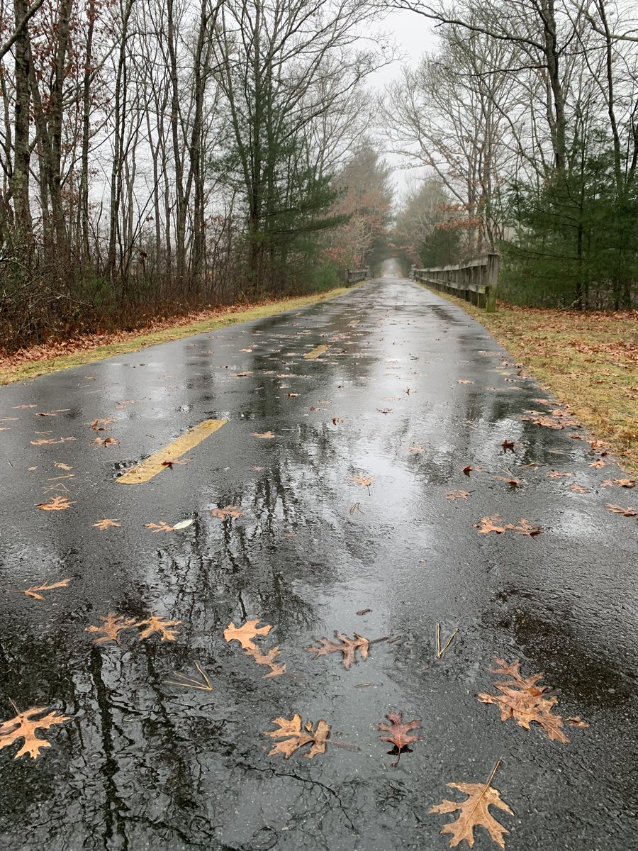 RevKeithM's tweet image. 19 mph winds and rain made for less than ideal skating conditions today. Despite the wet leaves and puddles, I still managed some miles. #inlineskating  #rollerblading #southcountyrollerbladeclub