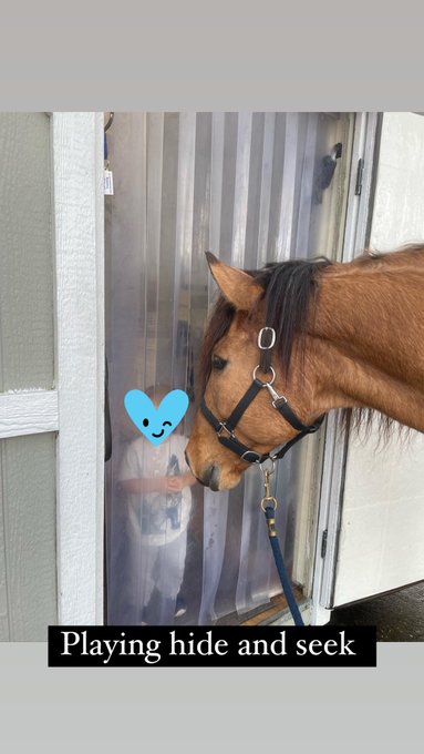 My babies playing peak a boo https://t.co/92GijcNRyO