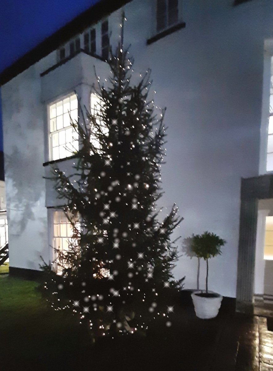 ShebbearCollege's tweet photo. Thank you to the Friends of Shebbear College for organising our trees and lights! ✨
#Christmas #ChristmasTree #ShebbearCommunity #PTA #Christmas2021 https://t.co/1IHrI9v4nD