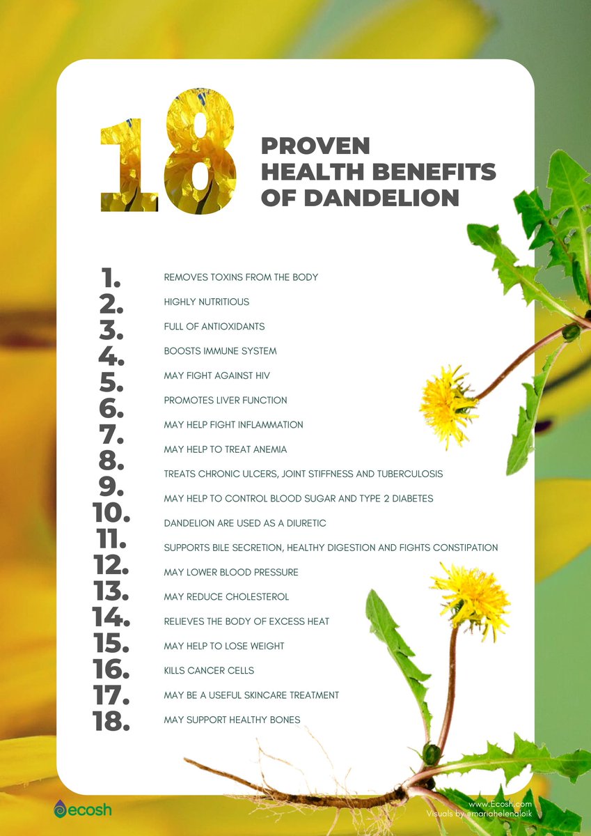 HHMU_Banksia's tweet photo. #CheckThisOut
#TheNumbering IS a bit #SkewiffBUTmakes4an #InterestingRead:-
There's actually #19BenefitsListed& #The17thONE IS #KillsCancerCells!
#NOTE #BeDiscerningKeepOnLearning!
States in the #Heading '#ProvenHealthBenefits' yet goes on2use #TheWord 'may' #9Times!
#PlantBased https://t.co/ZGBCsw4QH5