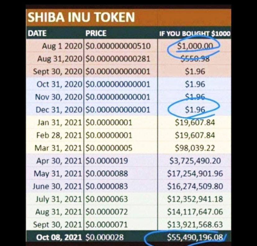 sridarwanto's tweet photo. what next Token will made a new history like this picture  ?
i choose $FINU @FirstInuToken  the Next Shiba on the price movement 
$FINU @FirstInuToken
#firstinu #finutoken #finu #shibarmy #shib
$FINU is ERC-20
Chart DEXT: https://t.co/SwoXiQ431H
Telegram : https://t.co/QPVnebRMrV https://t.co/ca4VRdTQh3