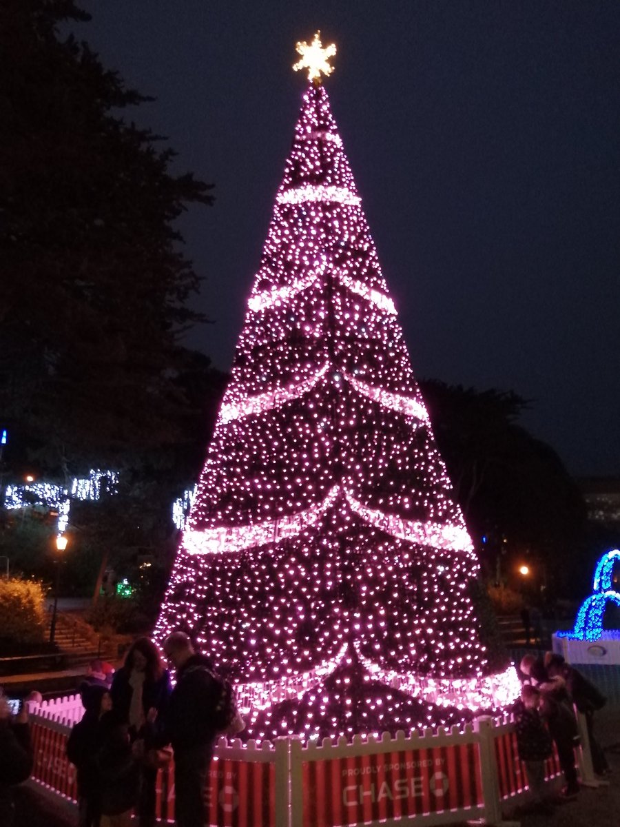 nick_davison10's tweet image. #ChristmasTreeWonderland #Bournemouth #Dorset