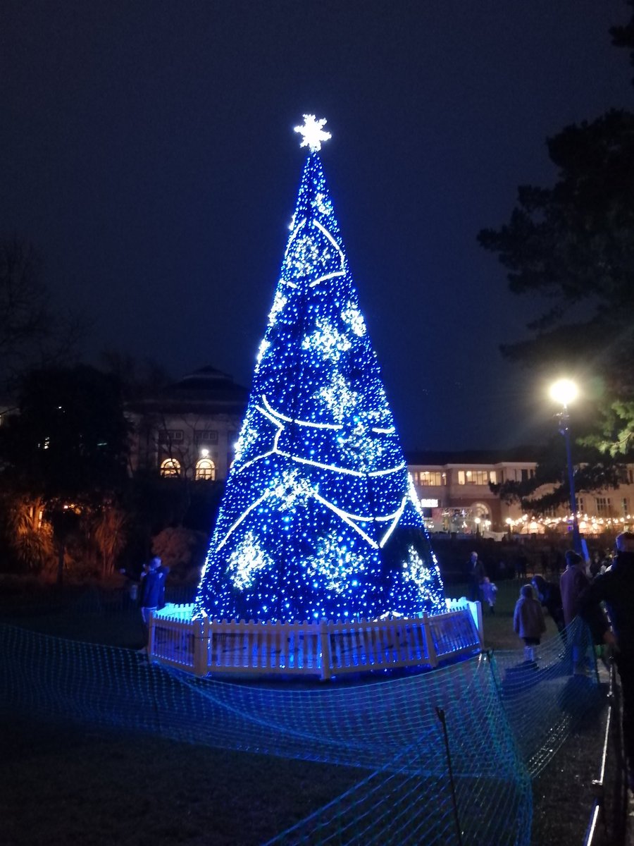 nick_davison10's tweet image. #ChristmasTreeWonderland #Bournemouth #Dorset