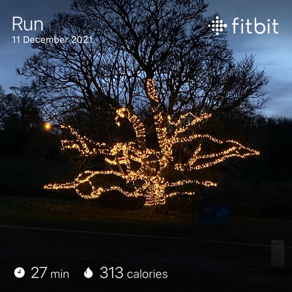 jackiemcguin's tweet photo. Evening 1076 of #1100daysofwalking waited for the interminable rain/ drizzle to end before venturing out! #Cleveragh had a massive tree all lit up. Did my first run in months. #365crew https://t.co/K8crpJcurq