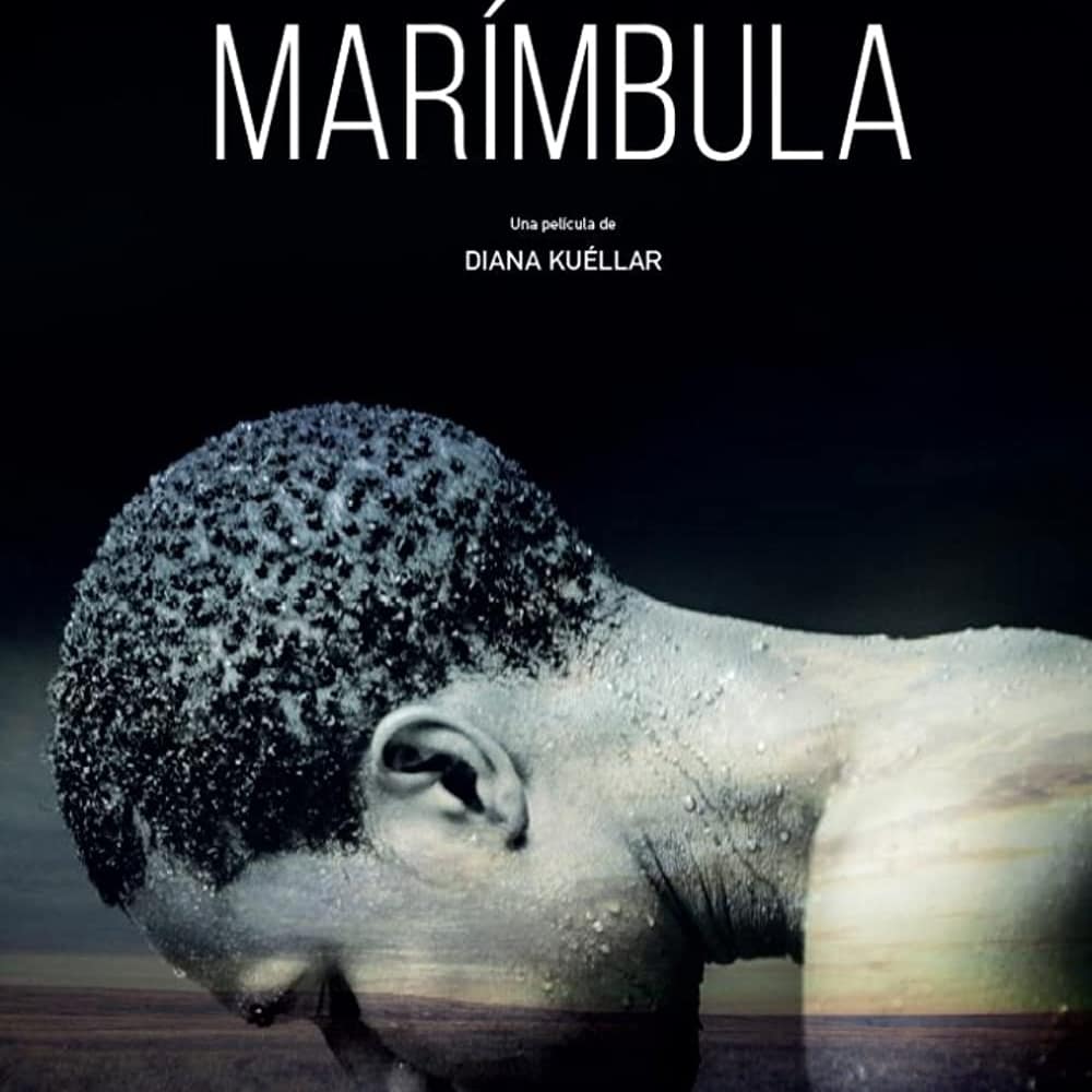 📣 O 16° Festival de Cinema Latino-Americano de São Paulo já começou e vai até o dia 17/12 com exibições gratuitas nas plataformas Sesc.digital, #SpcinePlay e Innsaei.tv. A programação reúne 38 filmes, entre longas e curtas 🔗
festlatinosp.com.br/2021