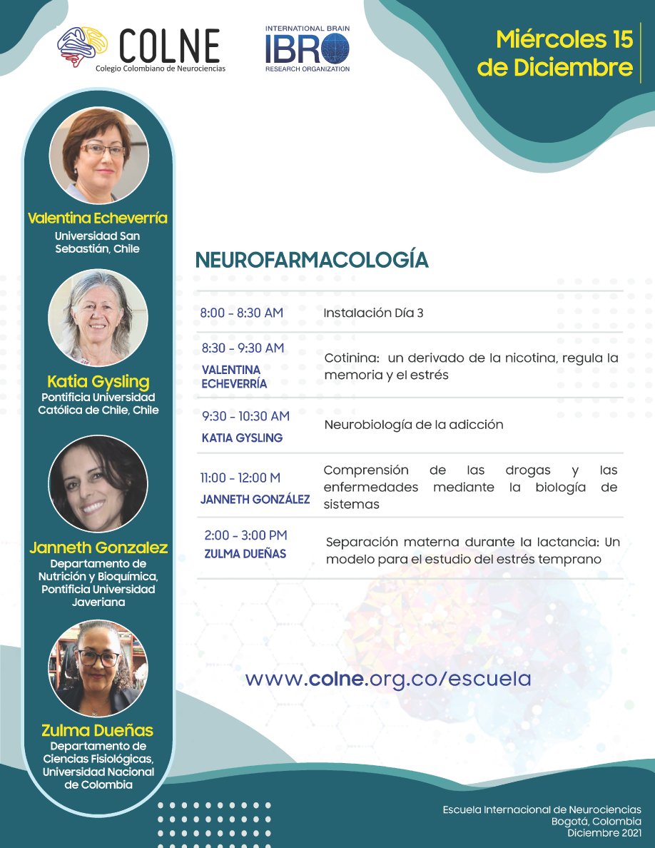 ColneColombia's tweet photo. Este lunes 13 de Diciembre iniciamos la Escuela Internacional de Neurociencias 2021, y queremos invitarte a ver todas las charlas en transmisión en vivo a través de Facebook Live en nuestro grupo del COLNE: https://t.co/qiaaXbSqQv. ¡Te esperamos! 😊 ---sigue en el hilo https://t.co/8C6bMp6fag