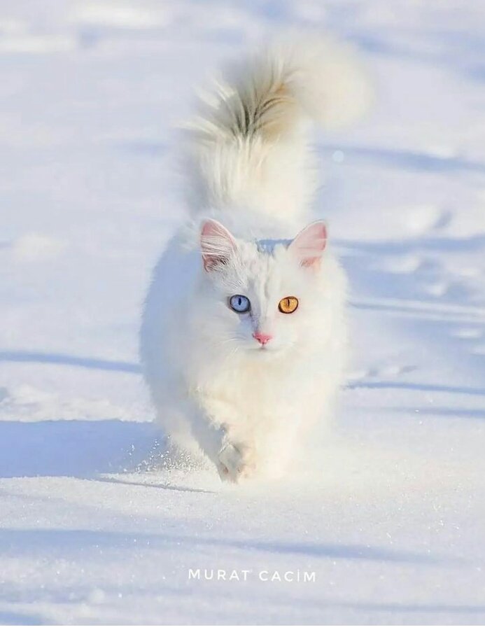 Van'da kış manzaraları♥

Fotoğraflar:@Muratcacim

En güzel kış manzaralı fotoğrafı sende bizimle paylaş😊