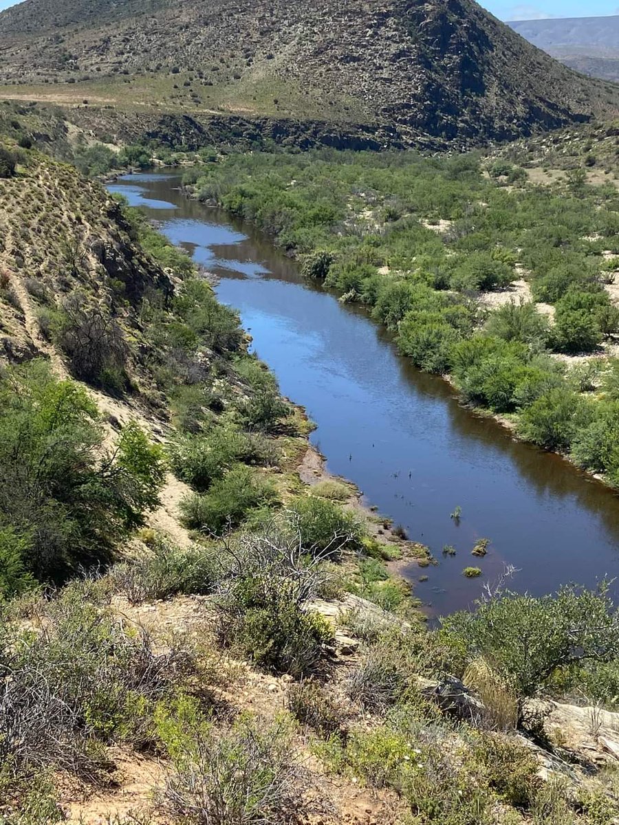 ReenvalIn's tweet photo. Die Gouritsrivier loop uiteindelik na 4 jaar weer in die Klein Karoo 📸 Chris Herbst @afriwx @VoxWeatherZa @SAWeatherServic @maroelamedia @Amorersg @zarsg @JoelGuy_ @SABreakingNews @OudtshoornC @SuidKaapForum @MBAdvertiser https://t.co/HcLtjuABPj
