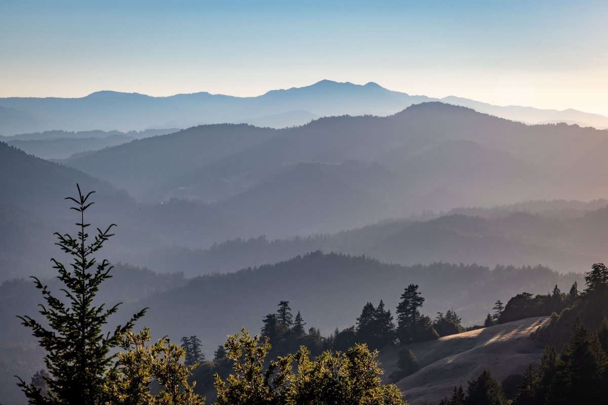 BERNERS MERCED (BernersInMerced) Twitter