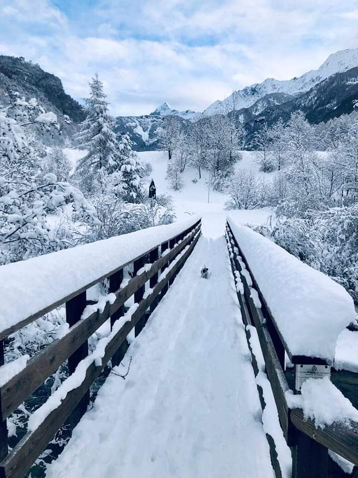 LALTROBEPPEDIM1's tweet photo. Giornata internazionale della montagna 
🎅🐧 @ciaspolata https://t.co/Ss06vzrhhO