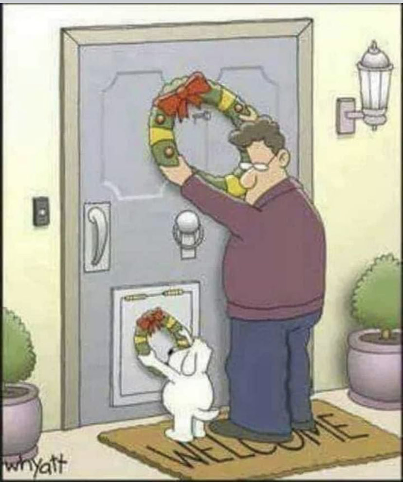 Awww! 🌲 ❤️ 🌲