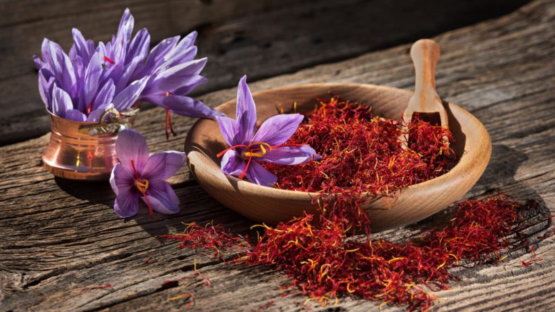 goldsourcelabs's tweet photo. Mood, fatigue, pain … the thousand and one virtues of saffron
https://t.co/7xcPdSIutn https://t.co/ALK5cI6oKS