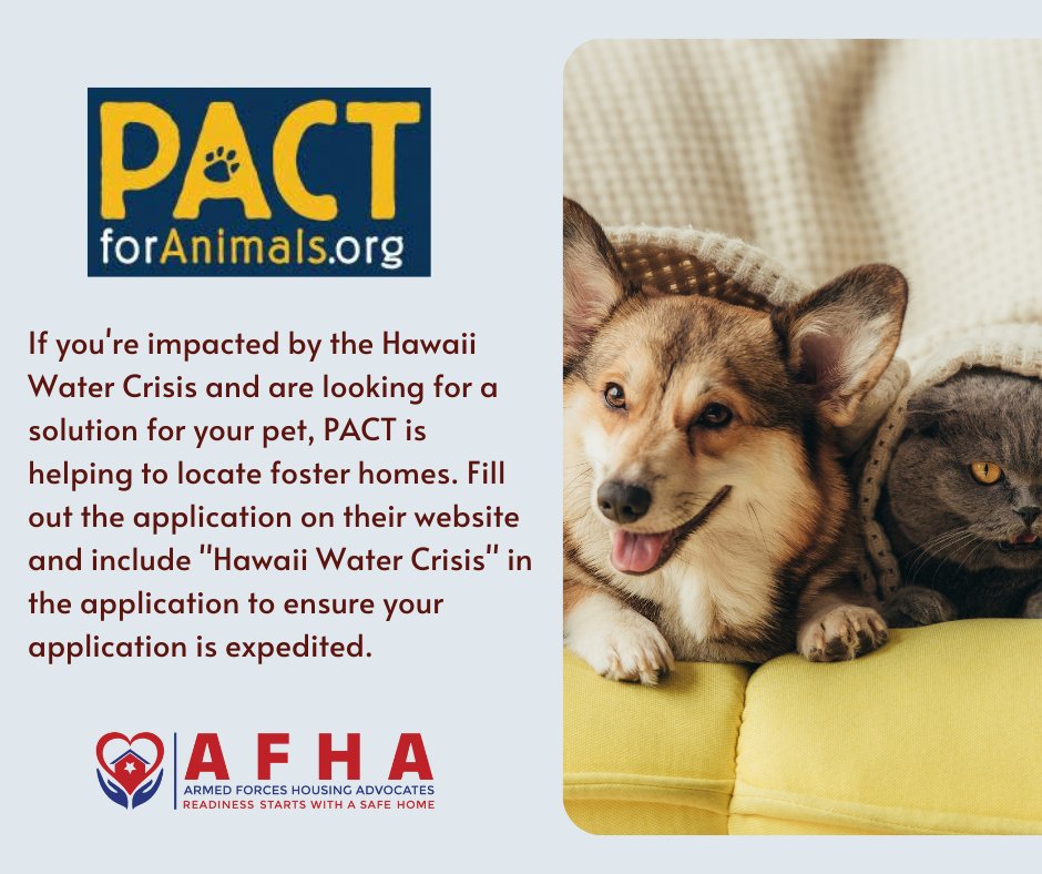 AFHAorg's tweet image. PACT For Animals is helping to locate foster homes for pets of families impacted by the Hawaii Water Crisis. If you are affected, please fill out the application at the PACT website.
pactforanimals.org/application/