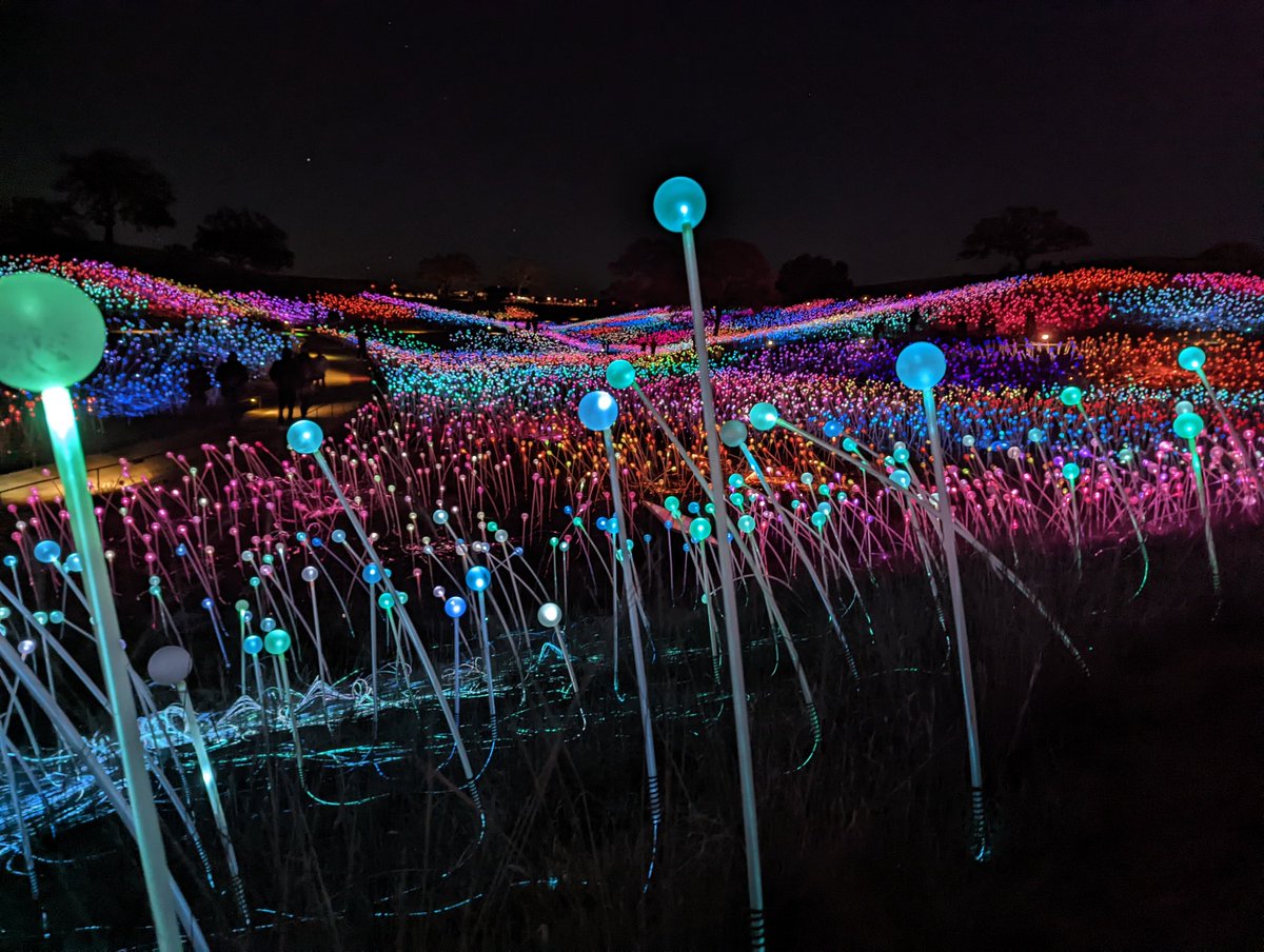 walkwithmejack's tweet photo. Took a very quick there-and-back drive yesterday to see the #lightatsensorio exhibit in Paso Robles. https://t.co/6FUv0MSoMY