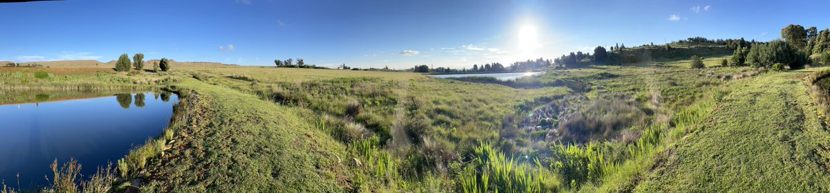 andbotha1's tweet photo. Enjoying Dullstroom and the fly fishing! https://t.co/ZpJwG5zpPf