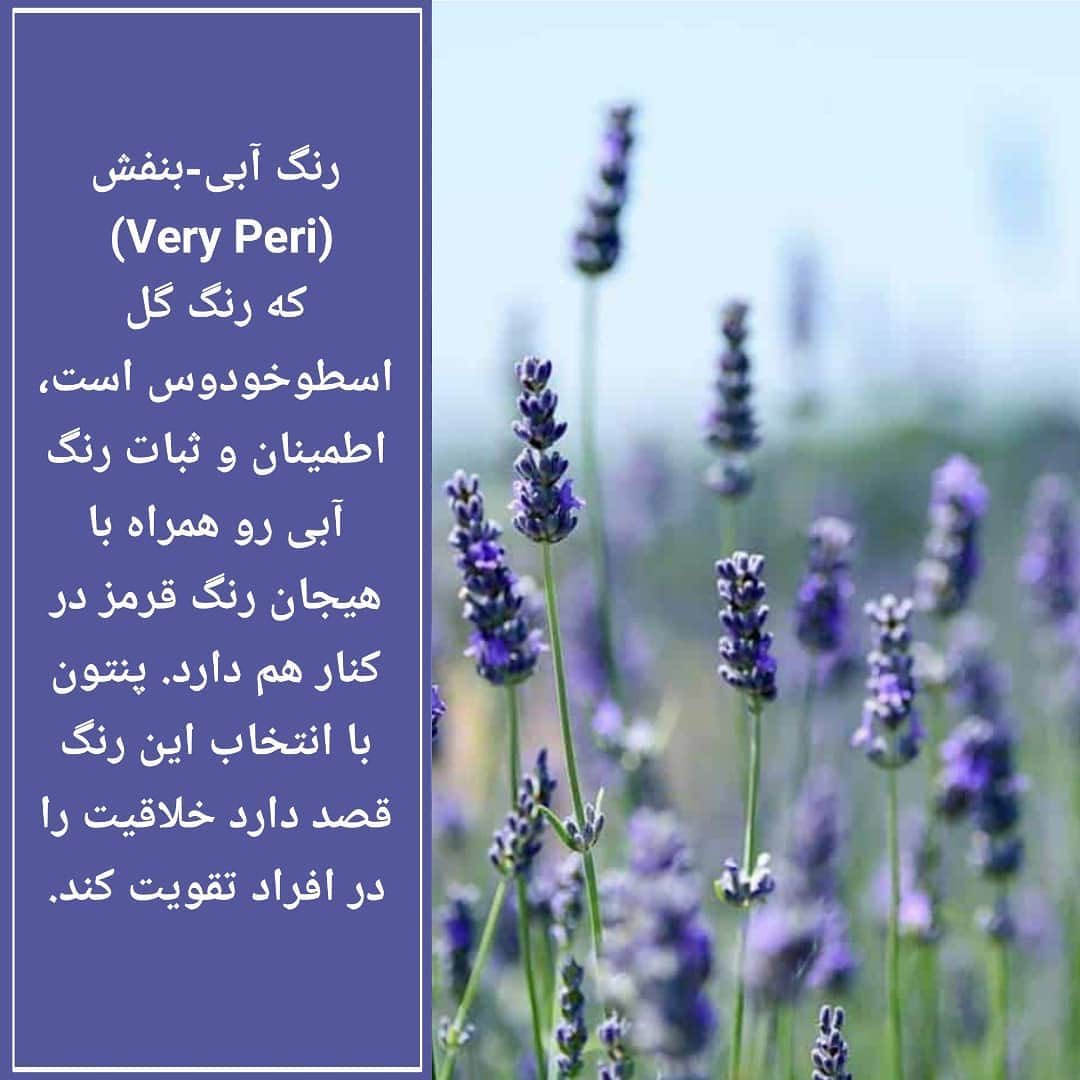 violeet760's tweet image. بلهه سالی که نکوست از رنگش پیداست :) 💜
#Pantone2022 
#VeryPeri 
بنفش آبی دوستارو منشن کنید ಥ⌣ಥ
