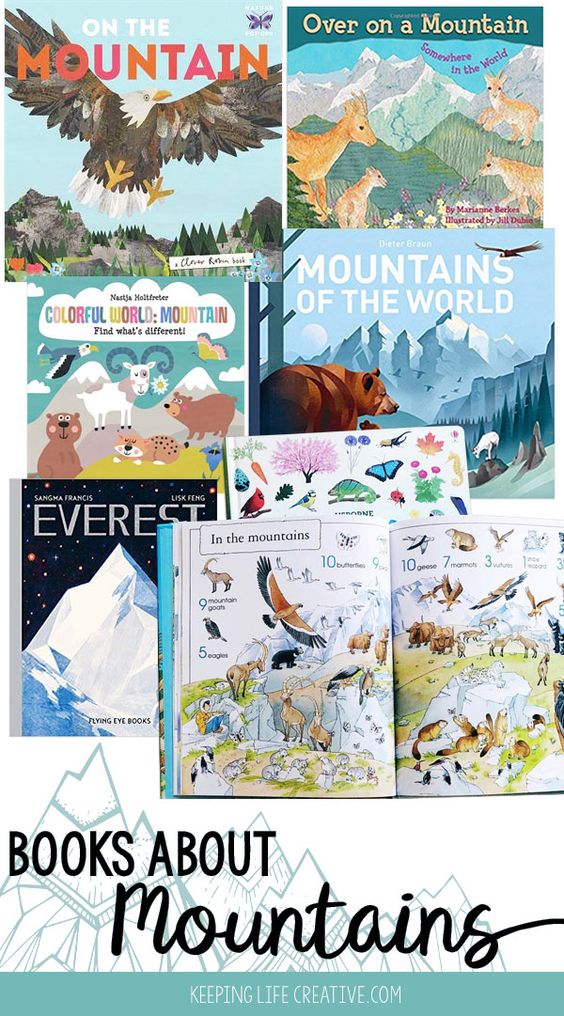 YSSNYLA's tweet photo. Happy International Mountain Day. What are your favorite children's books and activities celebrating mountains?#InternationalMountainDay https://t.co/sIR662PcEx
