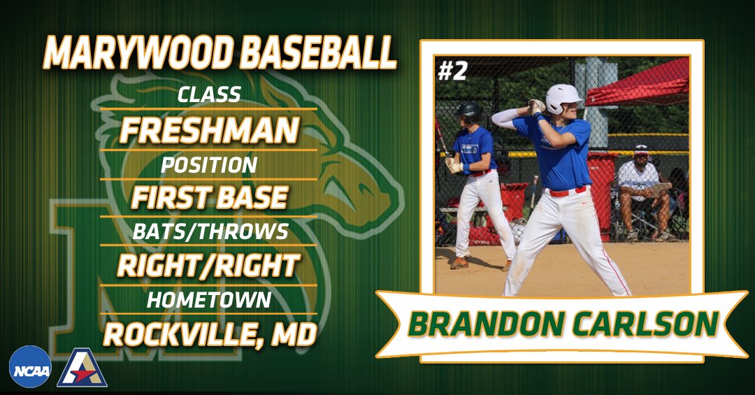 Marywood University Baseball tweet media