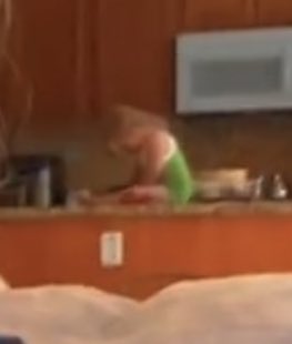 kiwiopinions's tweet photo. Really random but last week I mentioned on discord that when I was looking through old SS I found one with Rosie just chilling on the counter unsupervised. This is the SS I was talking about. https://t.co/o4Gsi9l9TI