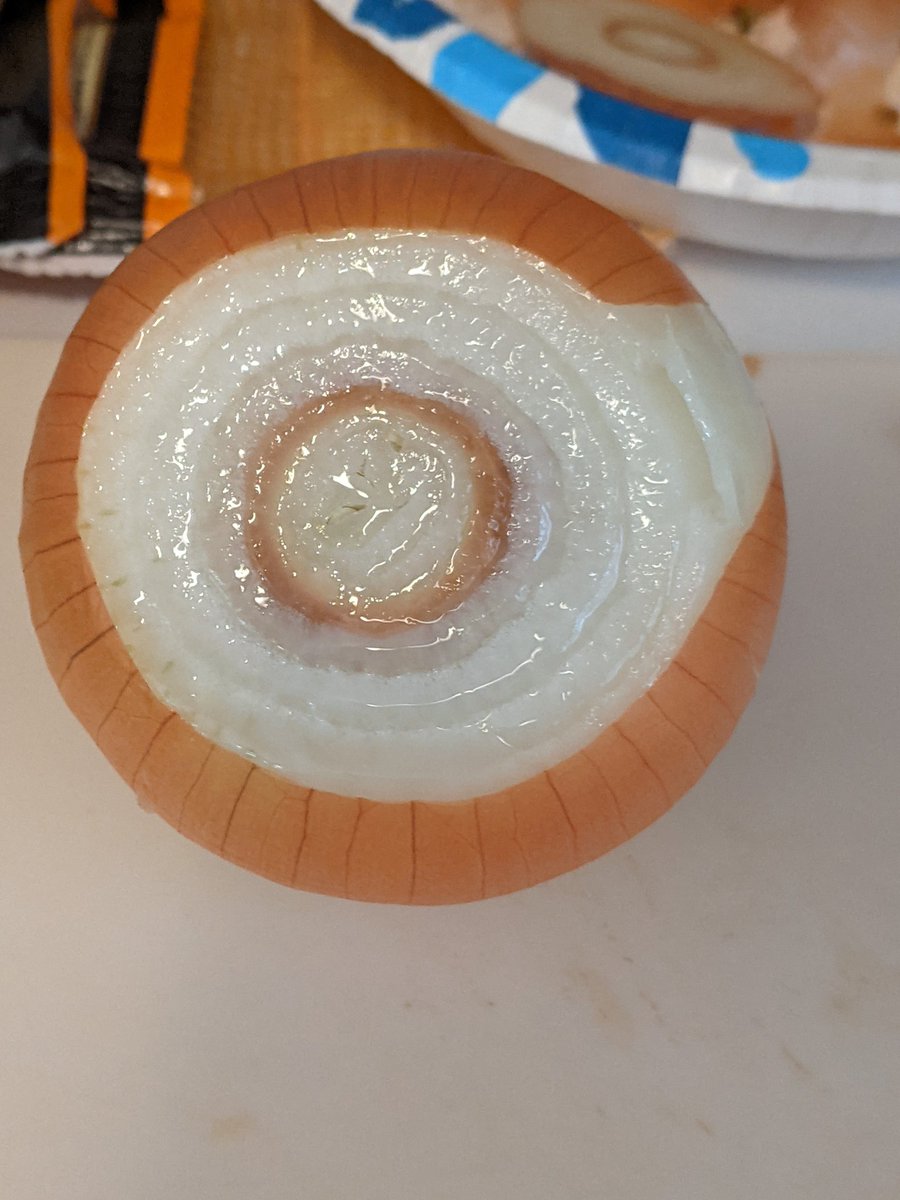 mrkleve's tweet photo. When an onion makes you think of Vlad #Taltos and @StevenBrust https://t.co/7P4z8lQPW8