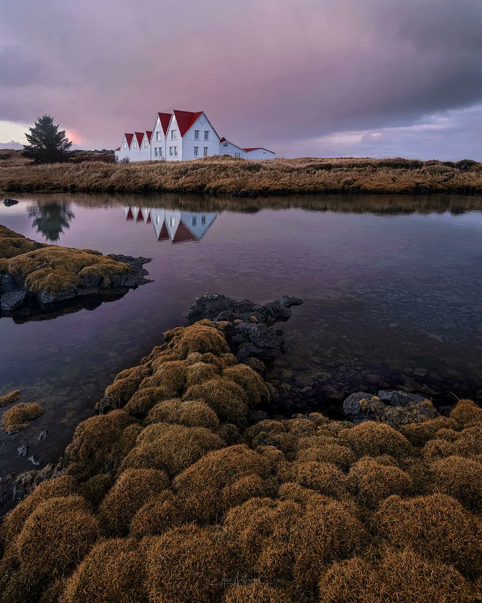 La mirada es el reflejo del alma, y dicen más que las palabras.... 

#Islandia