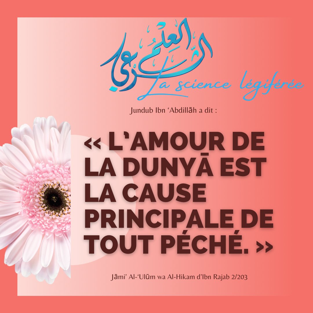 3ilmchar3i's tweet photo. 🌍 L'amour de la vie d'ici-bas (dunyâ) https://t.co/ZtV5Lpepca